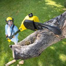 Best Arborist Consultation Services  in Elmwood Park, IL